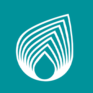 Netaş Telekomünikasyon A.Ş. Şirket Logosu