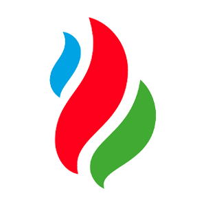 Petkim Petrokimya Holding A.Ş. Şirket Logosu